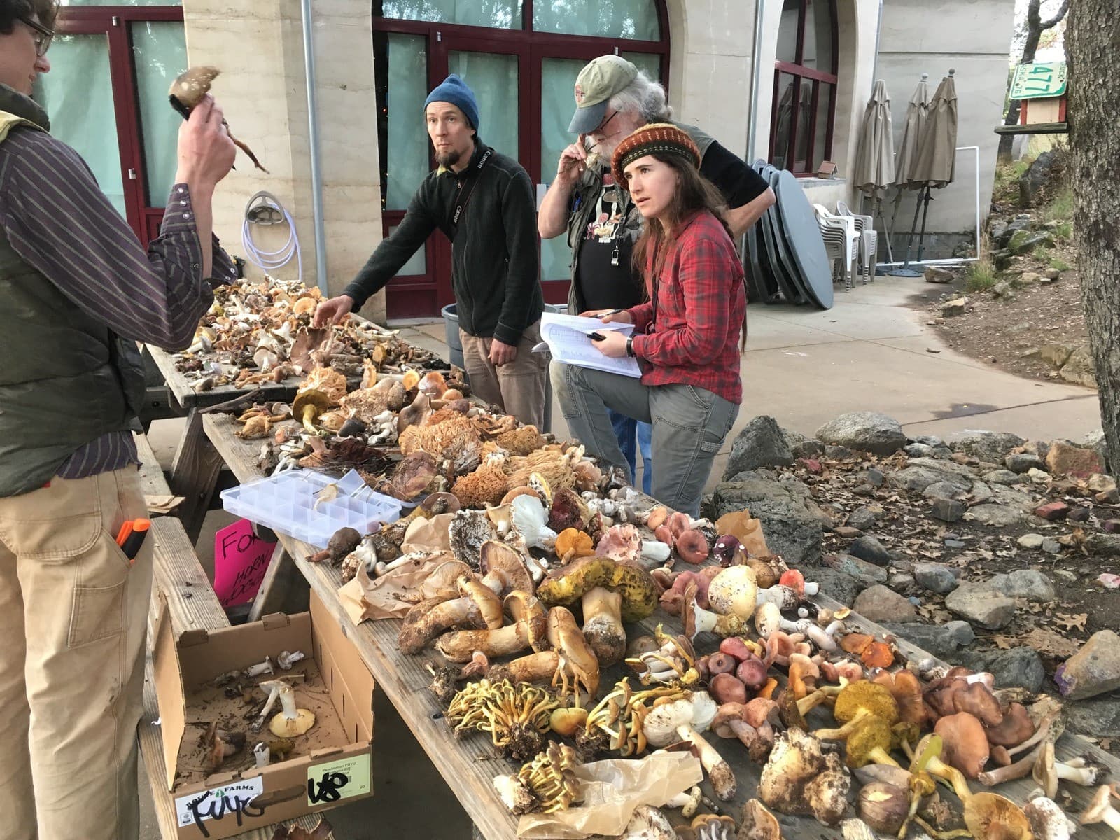 Participants at a YWI field program in the forest