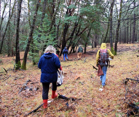 Fungus Foray photo 1