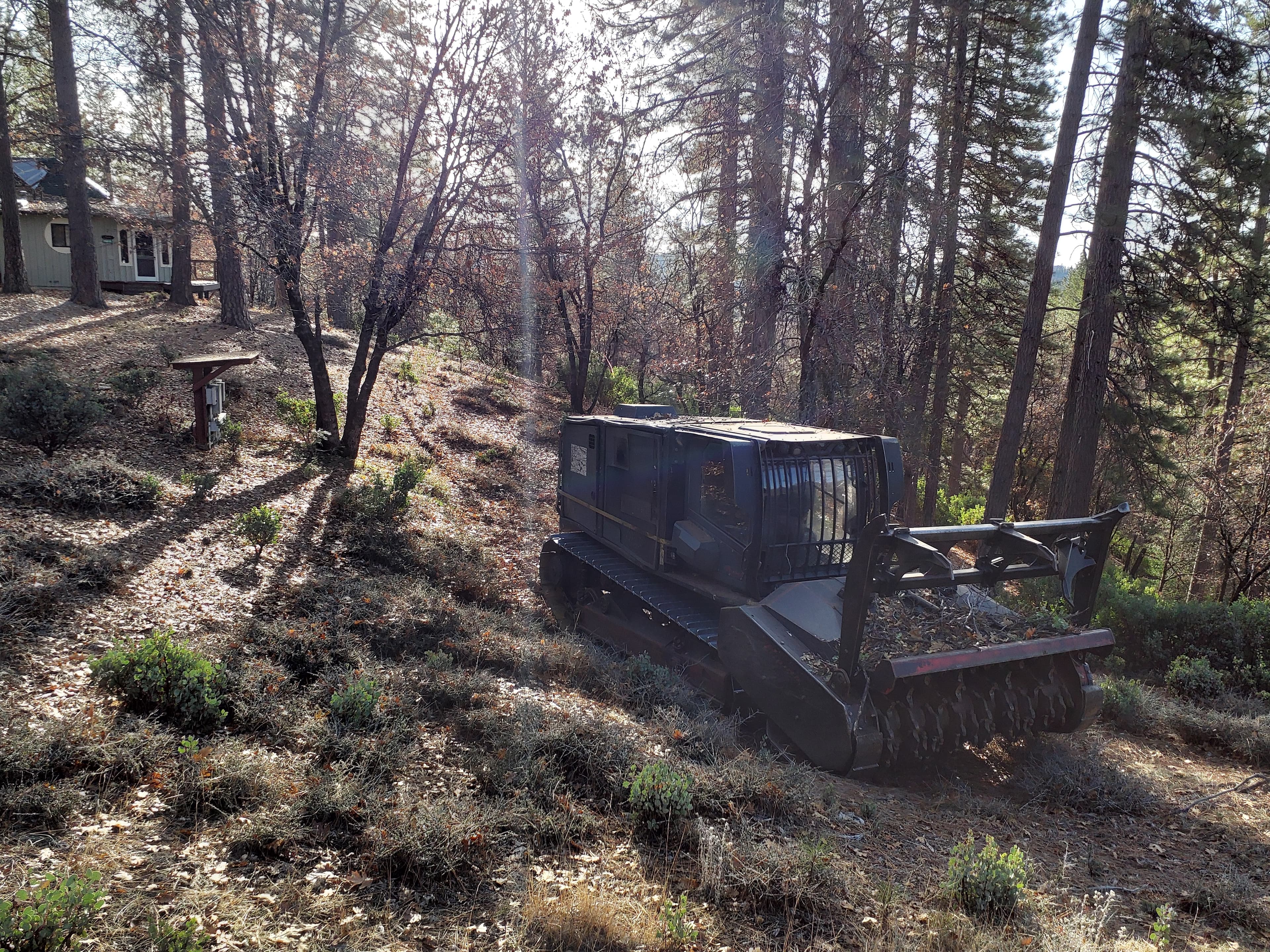‘Inimim Forest Restoration Project photo 1