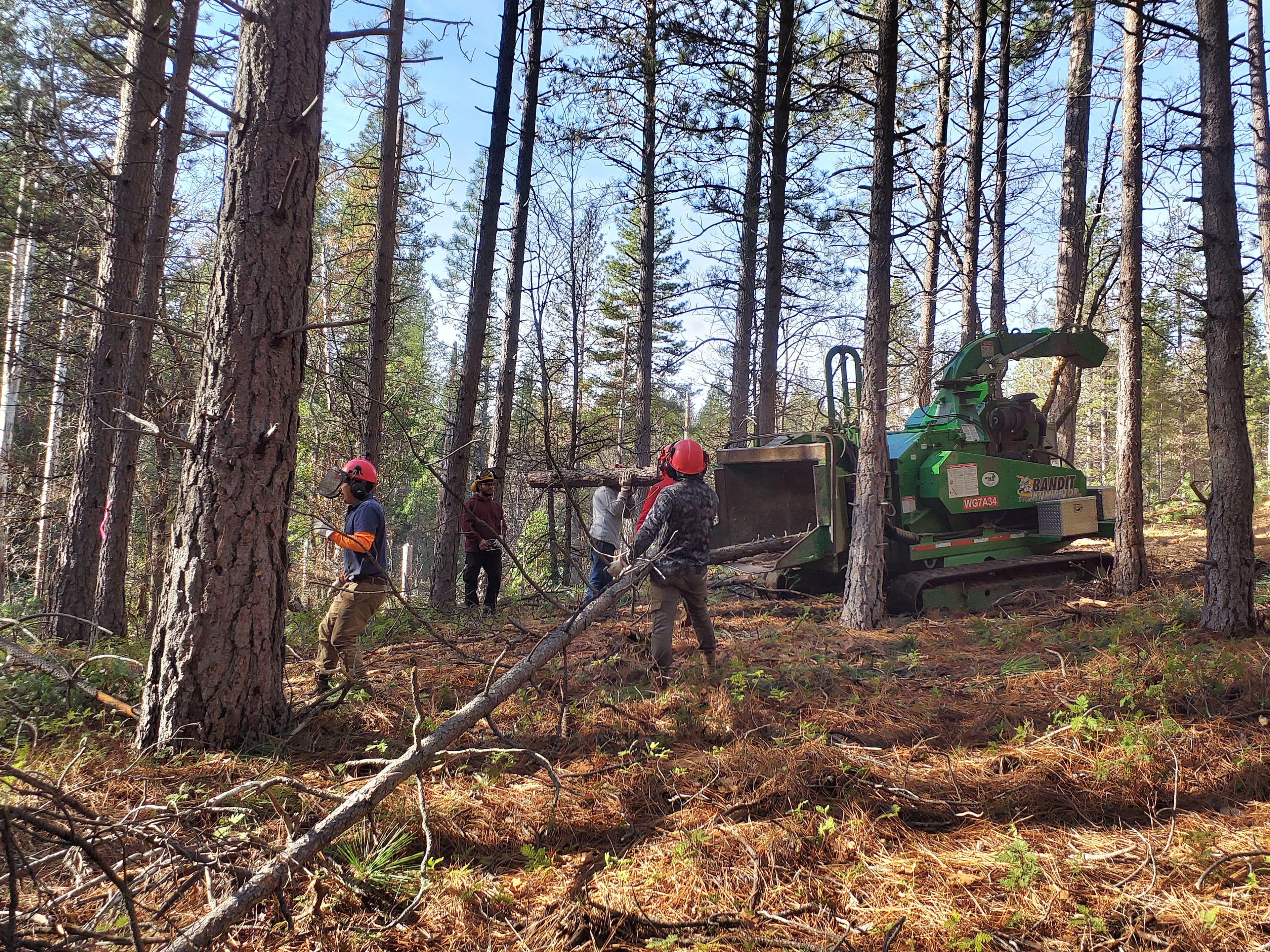 ‘Inimim Forest Restoration Project photo 4
