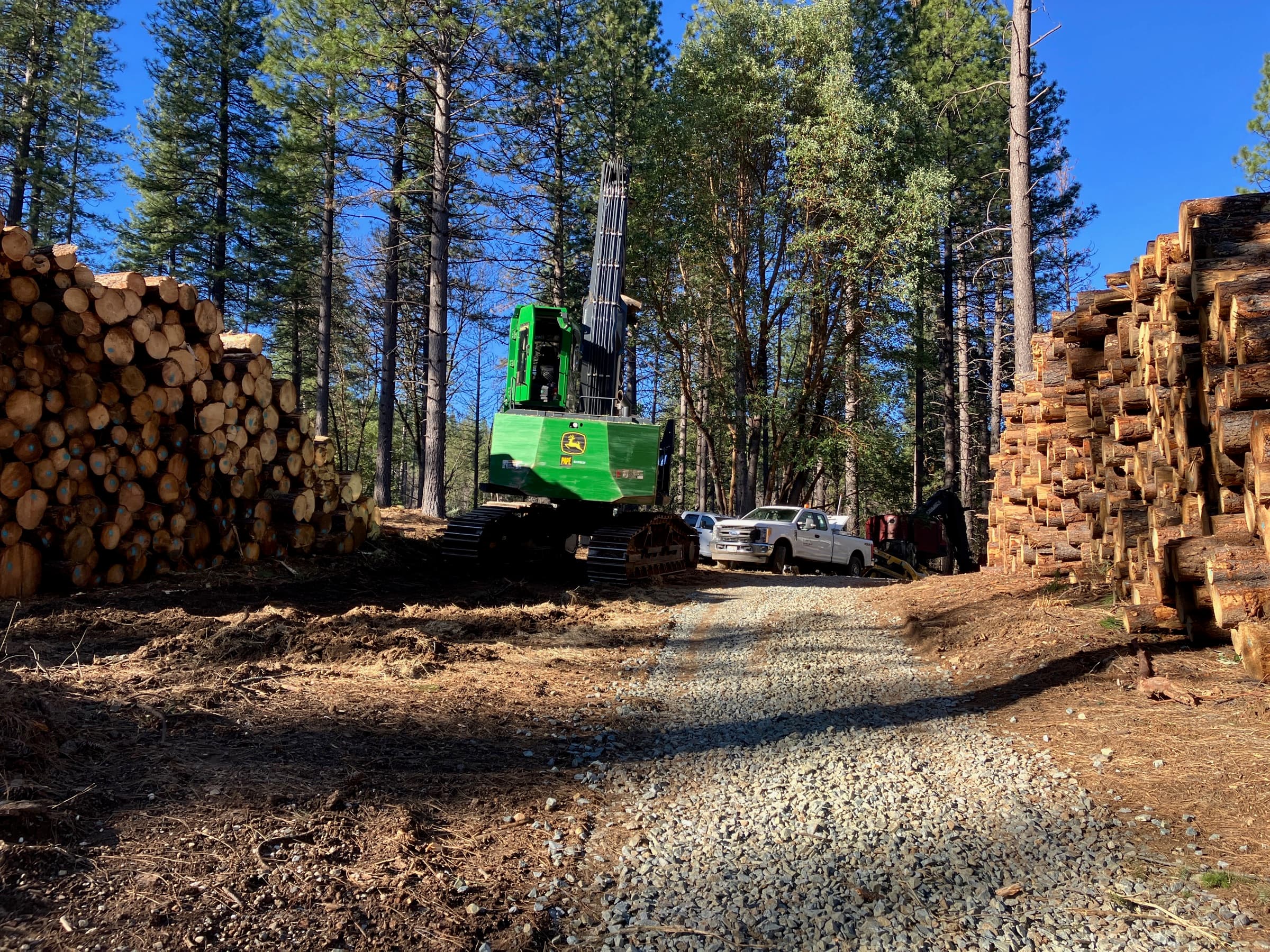 ‘Inimim Forest Restoration Project photo 7