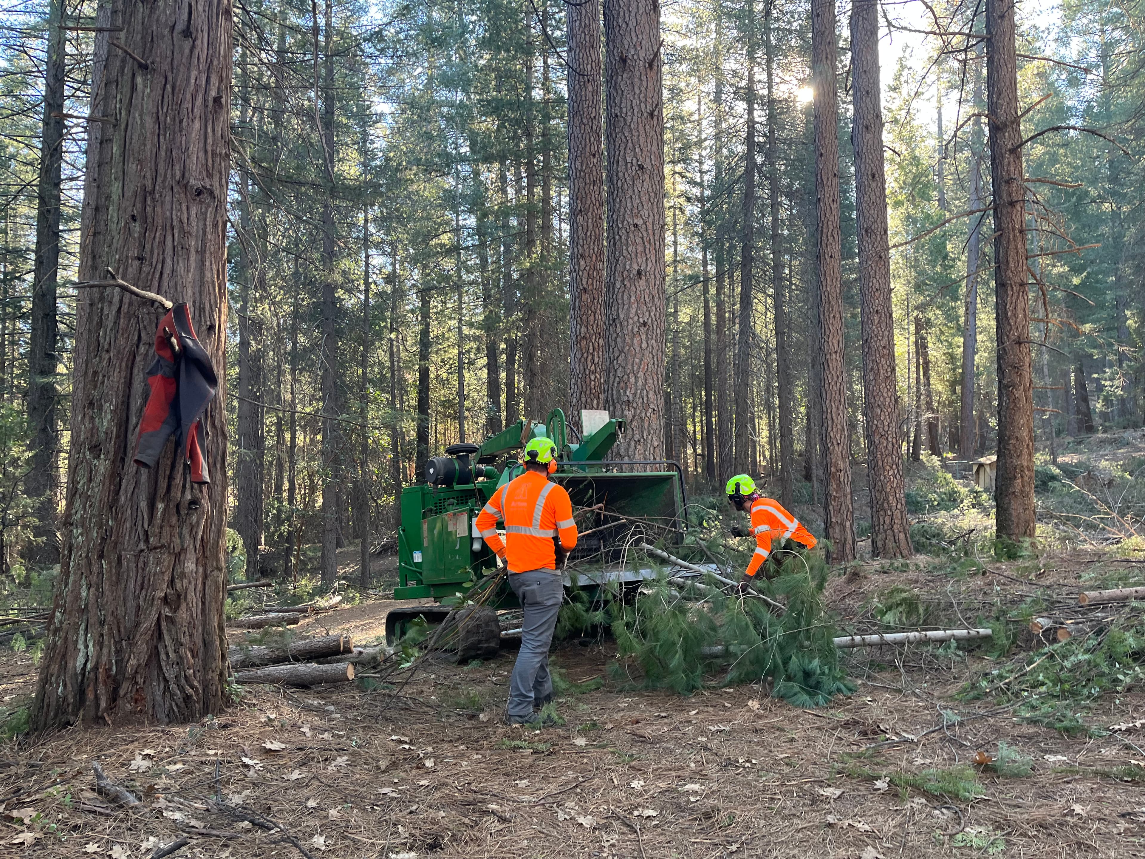 Little Deer Creek Project Highlights