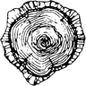 Yuba Watershed Institute logo
