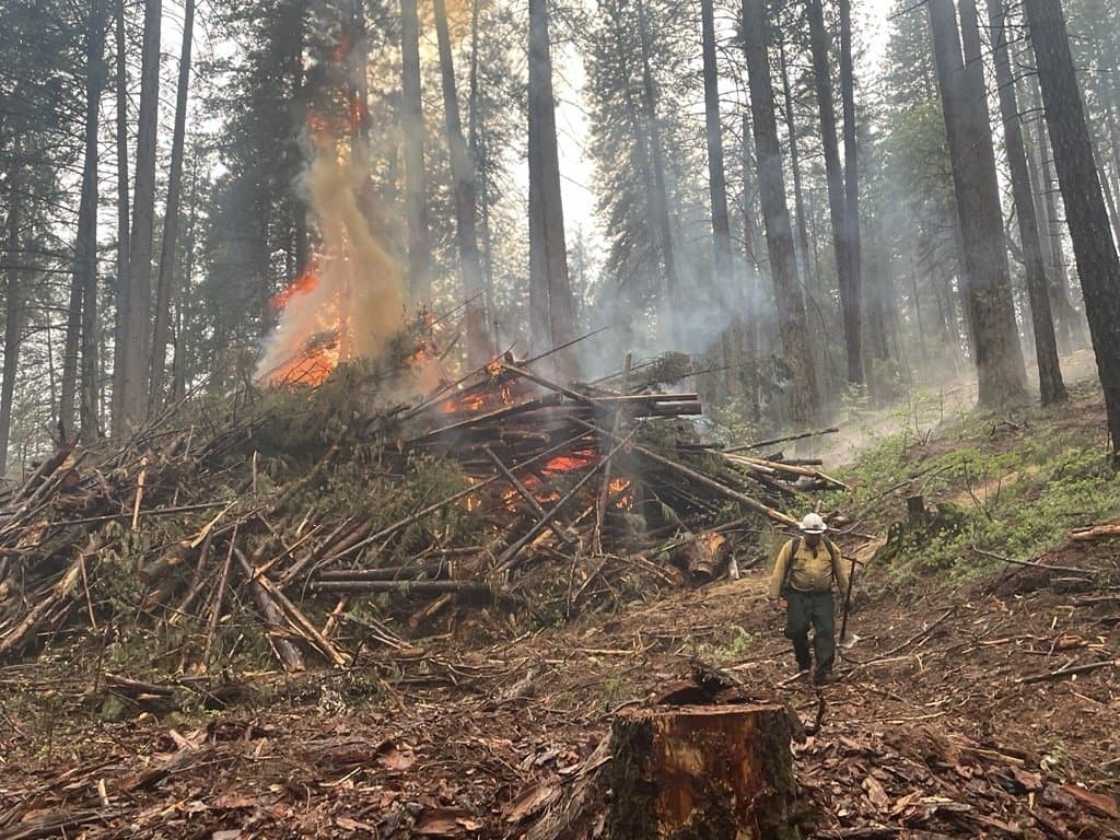 A Terra Fuego firefighter walking back from a burning pile on a cleared slope.
