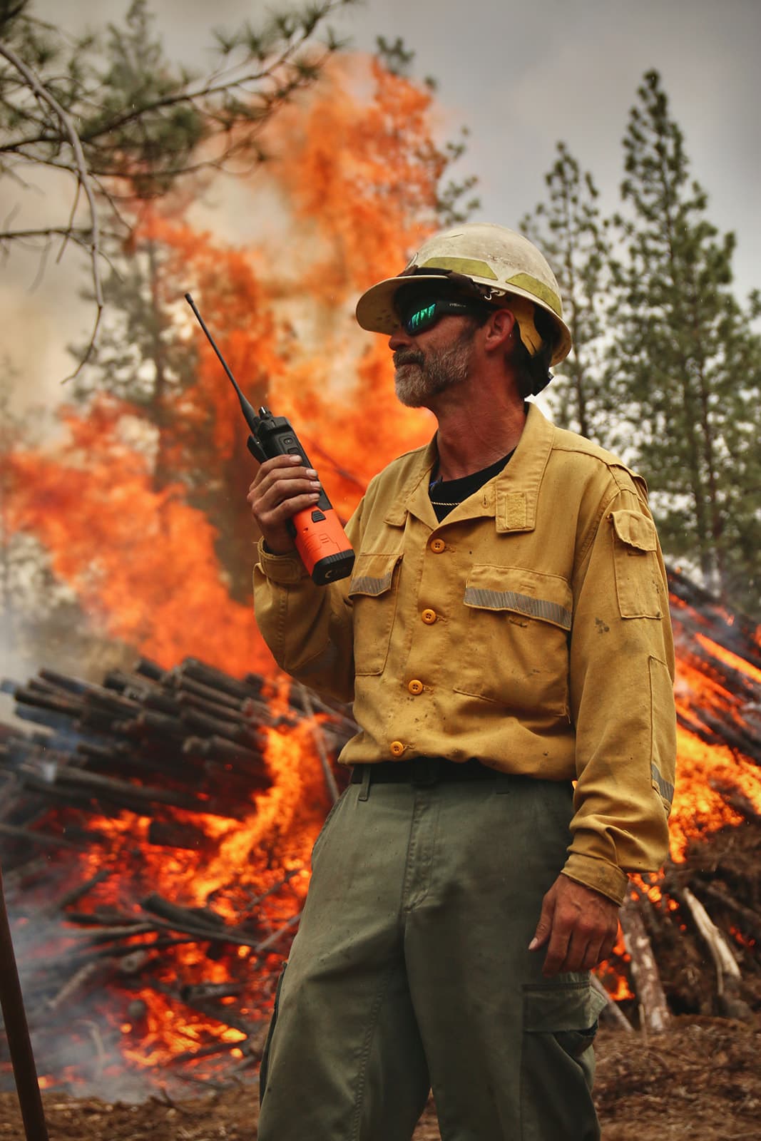 A prescribed fire crew member monitoring conditions from a distance.