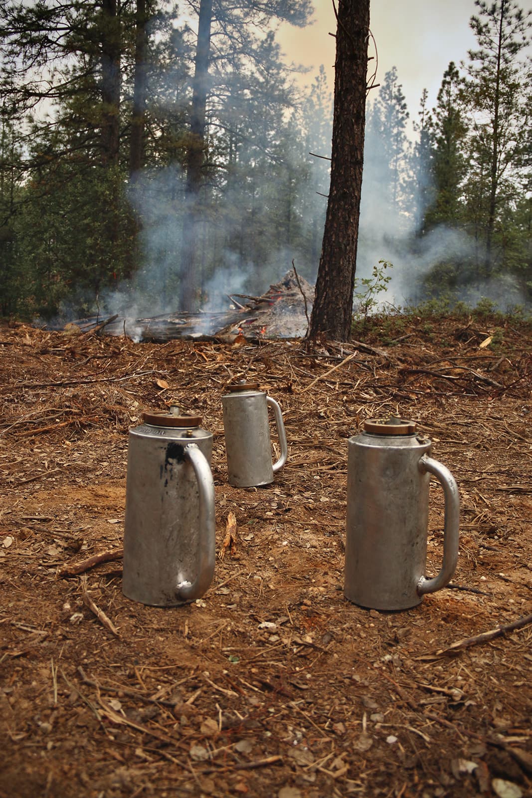 Three silver drip torches lined up on the forest floor.