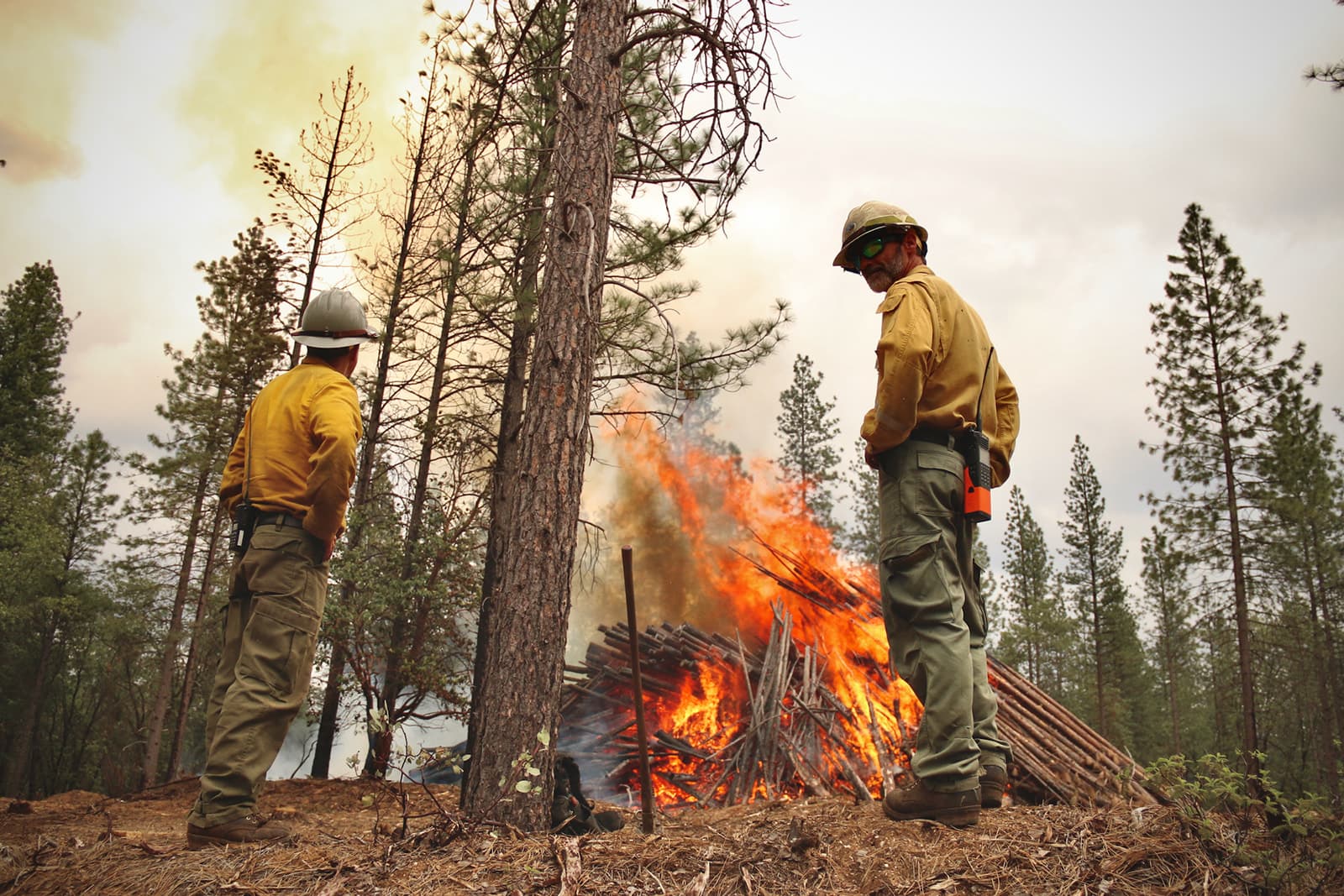 Two firefighters watch a pile burn from a low angle, smoke drifting through the forest canopy. Photo: Hilary Hattie Waters / Yahïla Foto.