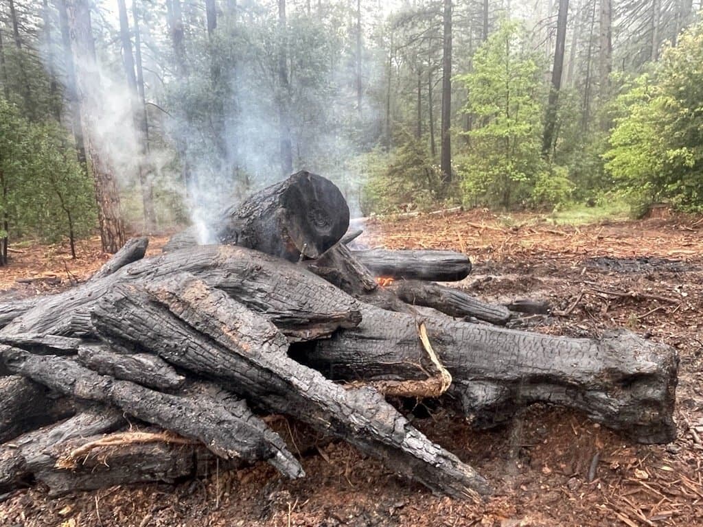 The charred, consumed remains of a machine pile —  blackened logs surrounded by untouched forest floor.