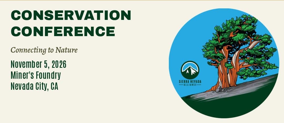 Sierra Nevada Conservation Conference graphic: November 5, 2026, Miner's Foundry, Nevada City, CA, with the theme Connecting to Nature and a Sierra Nevada Alliance bristlecone pine emblem