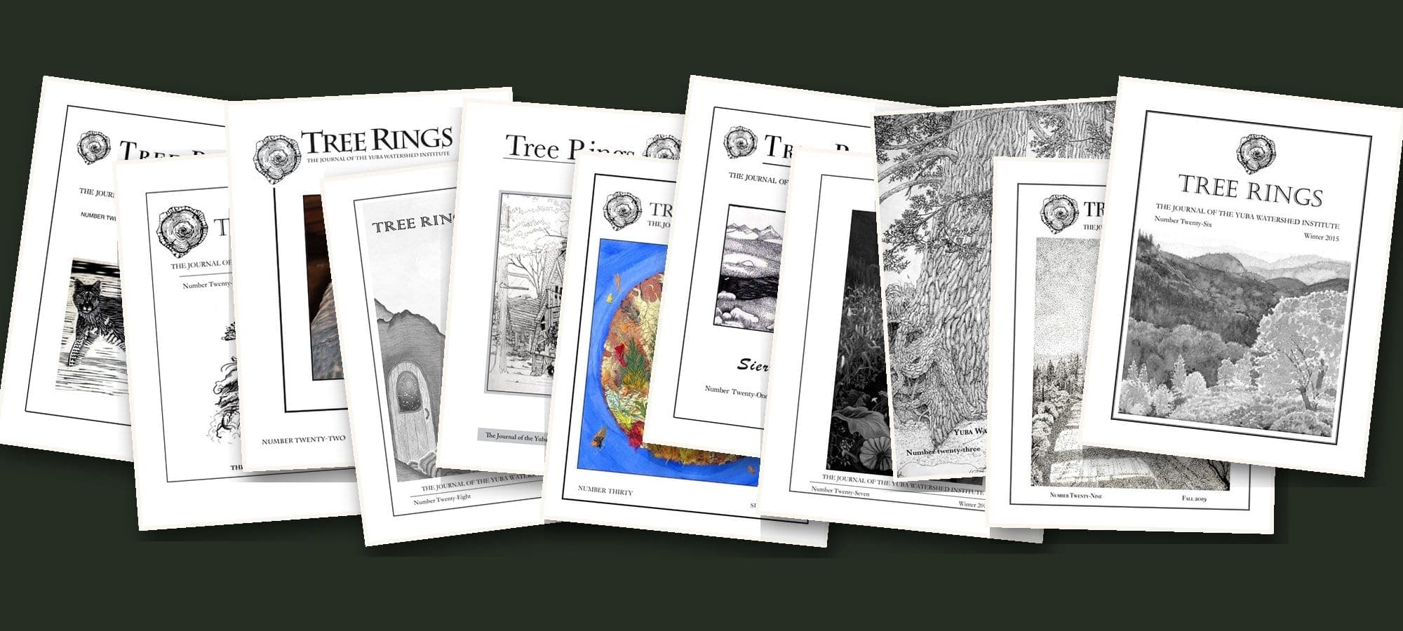 A fanned, overlapping spread of eleven past Tree Rings journal covers, issues #20 through #30, showing pen-and-ink drawings, a linocut of a mountain lion, and a collage of autumn leaves