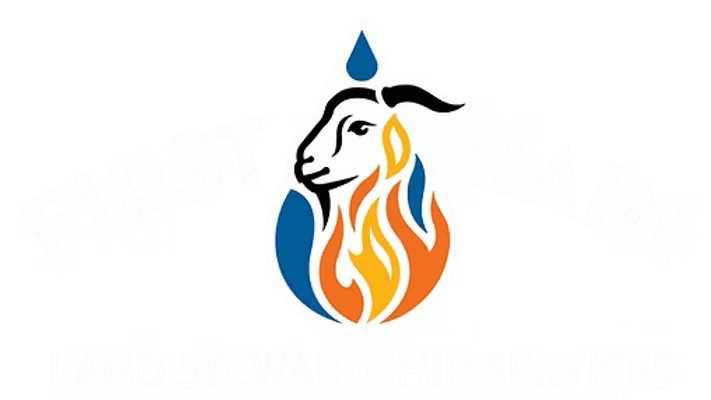 First Rain Farm & Stewardship