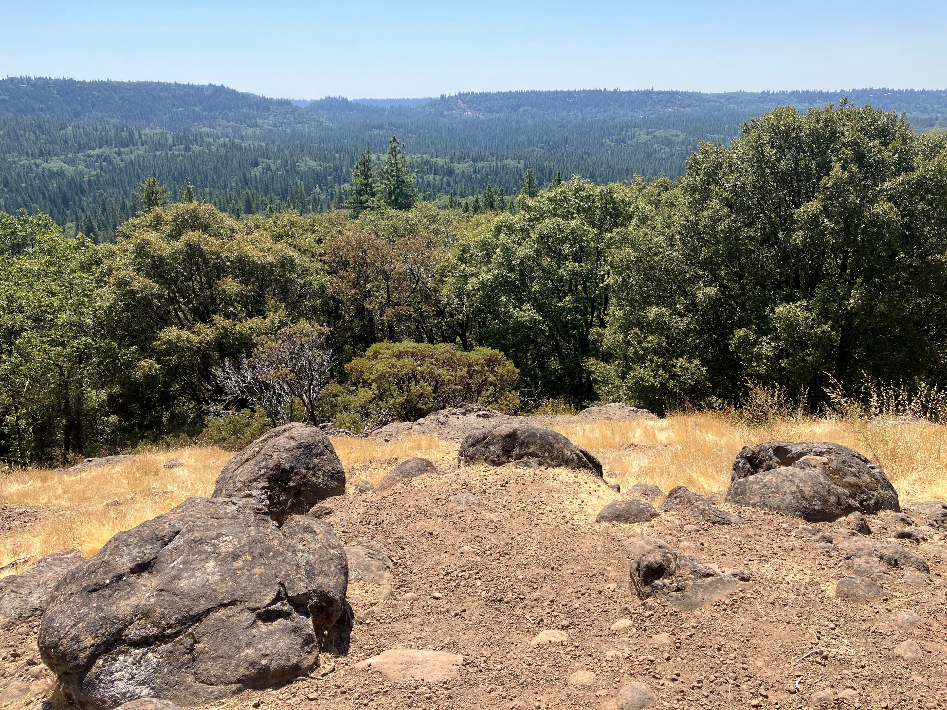 Round Mountain Landscape Resilience Project photo 1