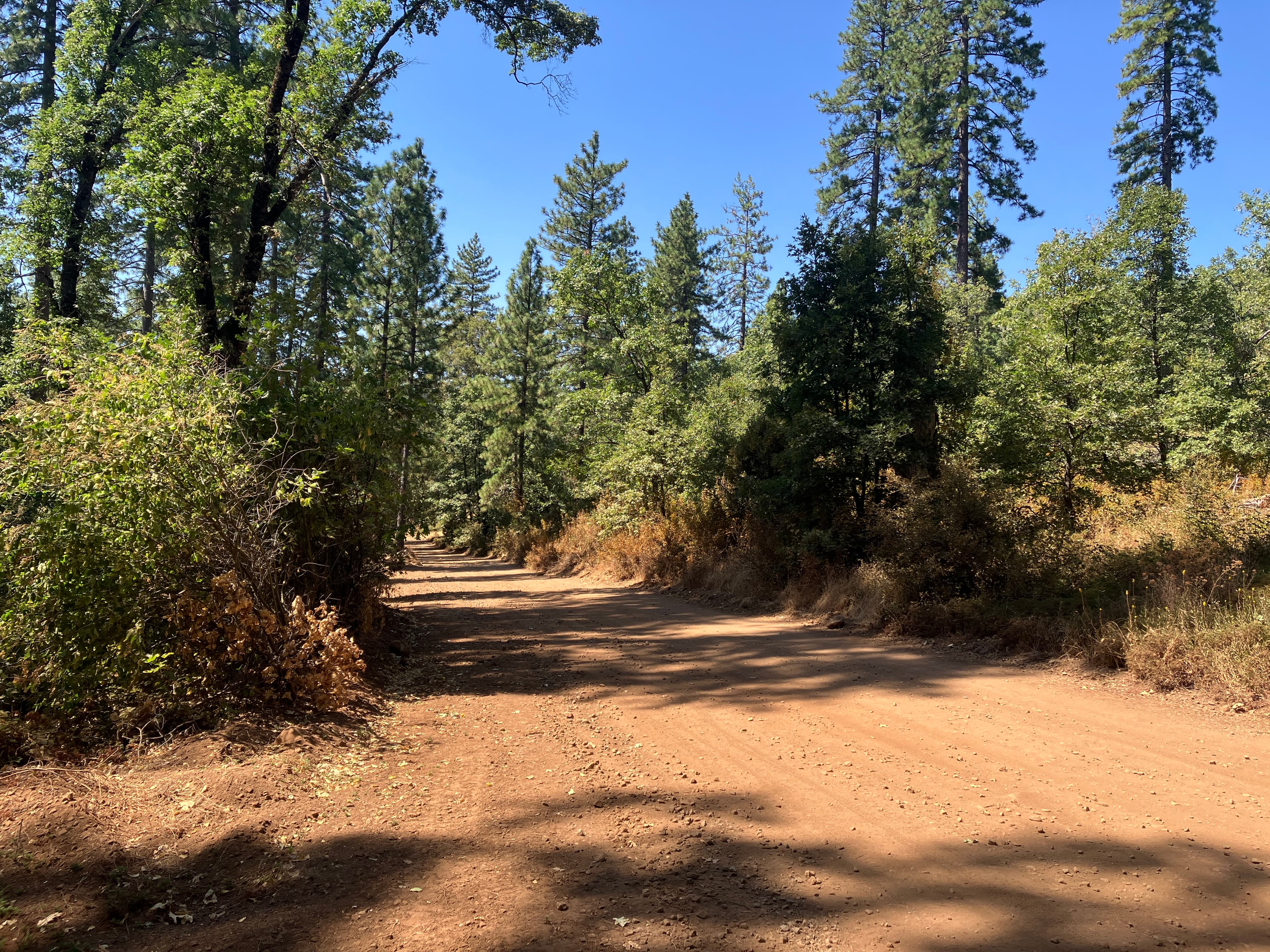 Round Mountain Landscape Resilience Project photo 2