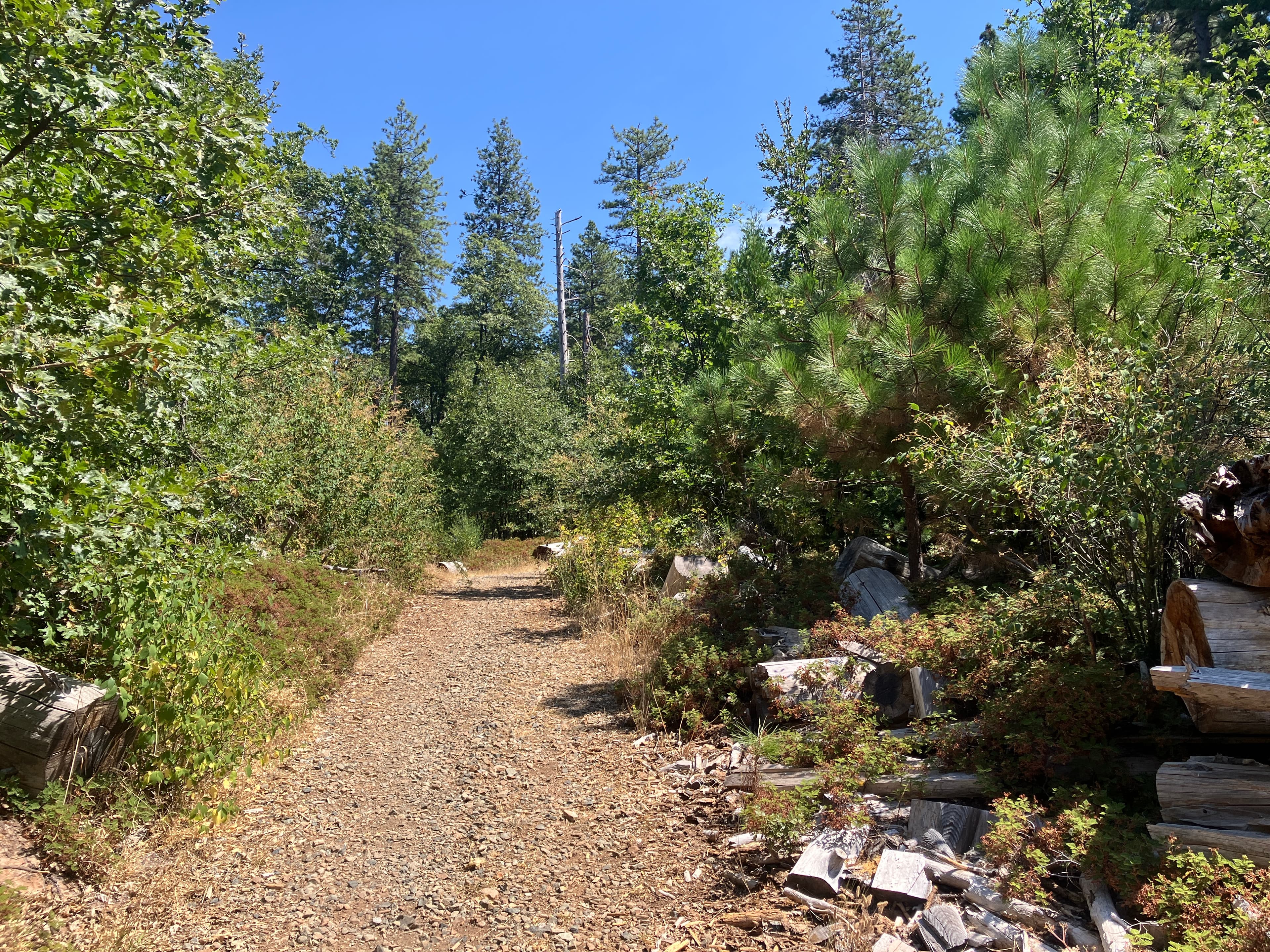 Round Mountain Landscape Resilience Project photo 4