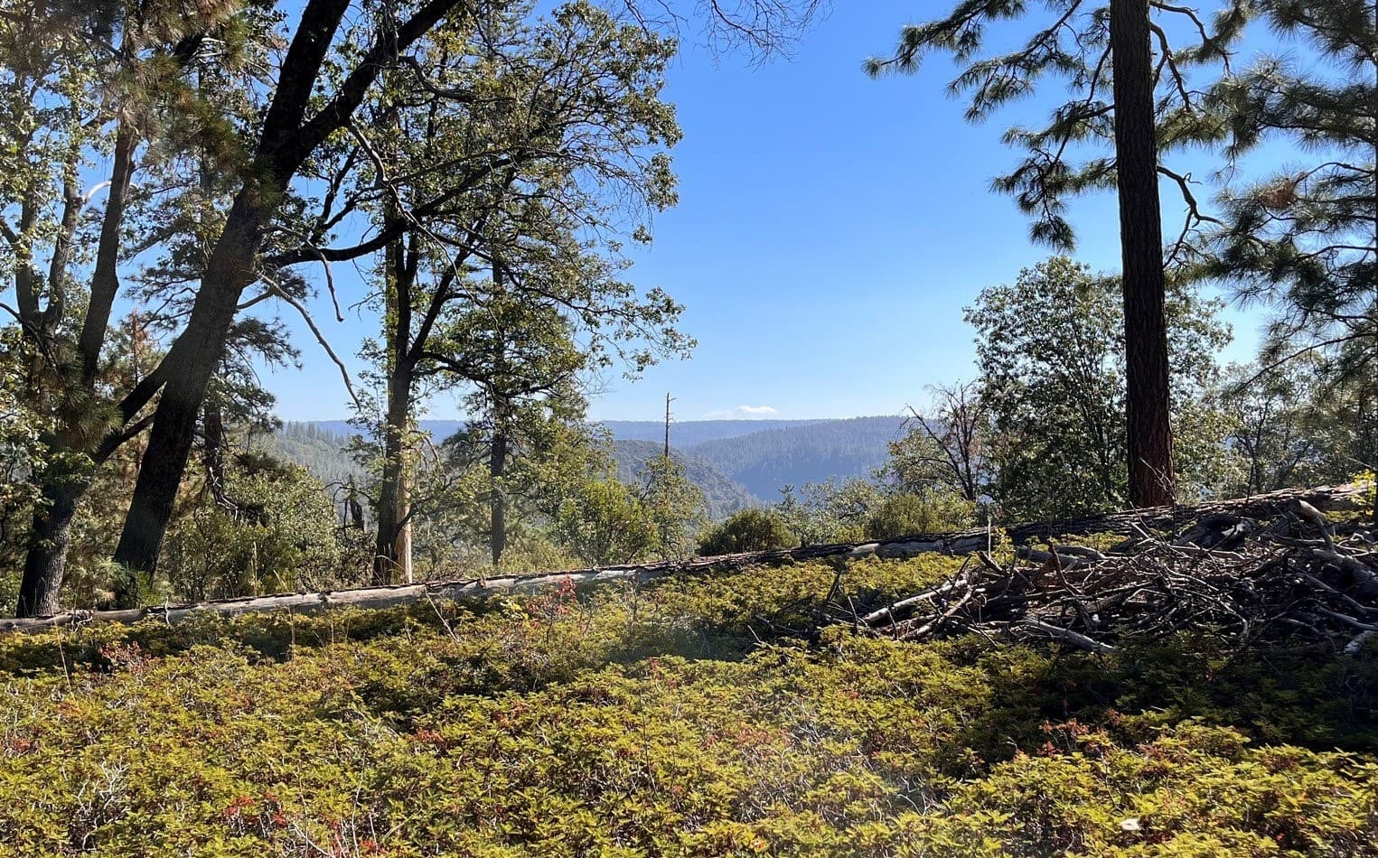 Yuba River in the Yuba watershed