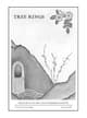 Tree Rings 28 cover