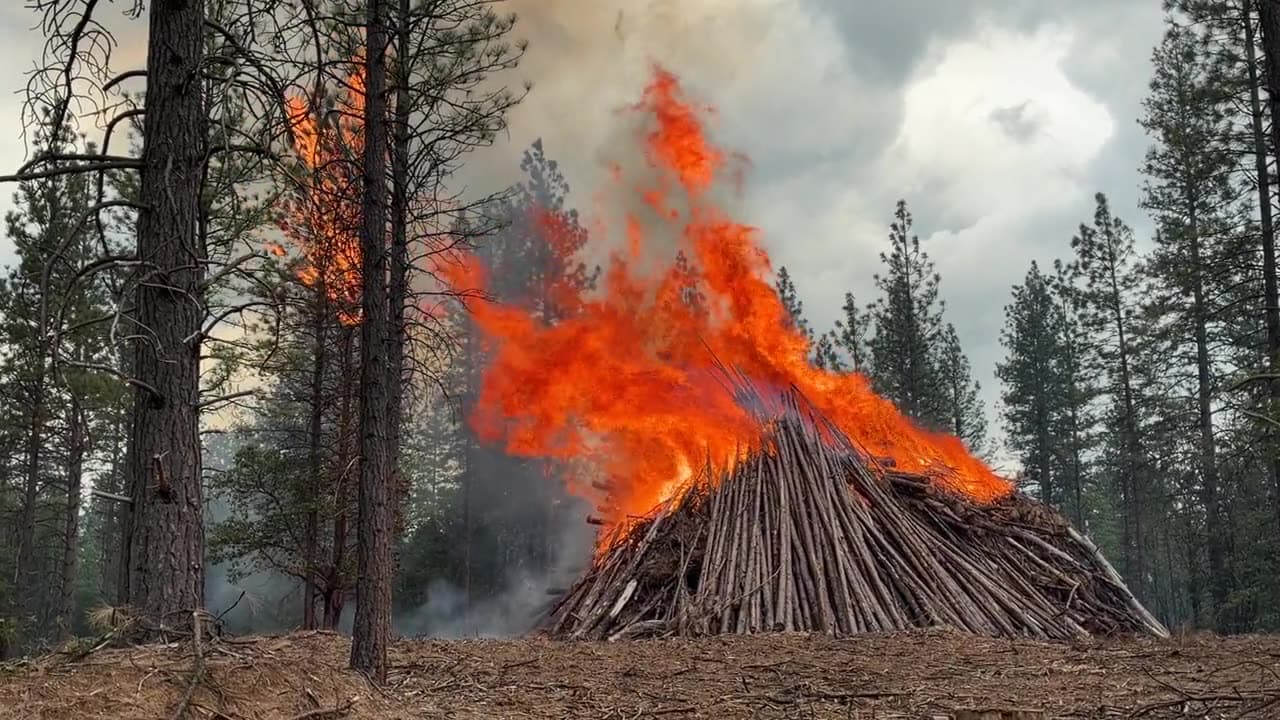 A machine pile burning at full intensity on Day 1 — wood snaps, flames curl up through the pile, and smoke drifts west.