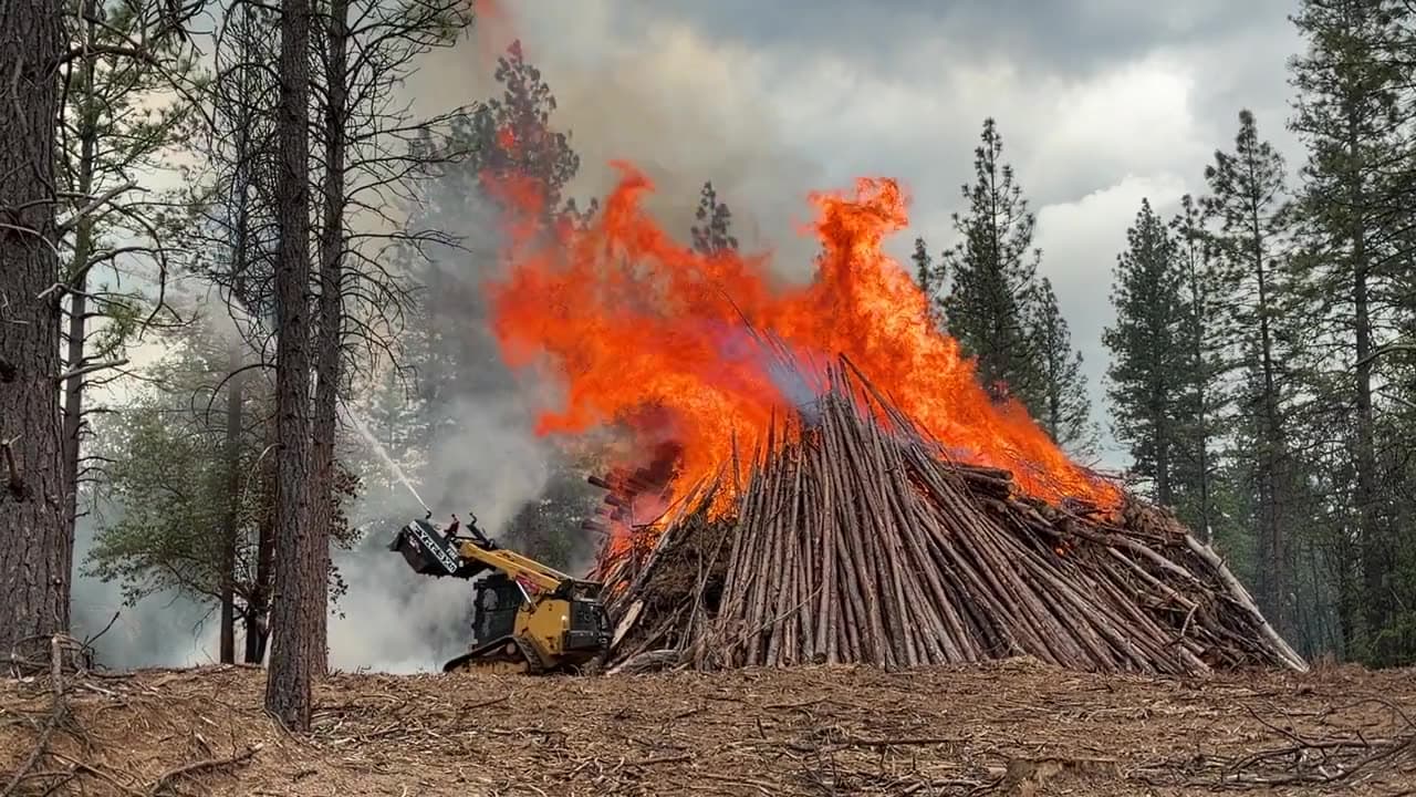 A FireBox skid steer entinguishing some torching on a nearby tree.