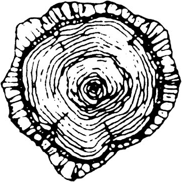 Yuba Watershed Institute logo